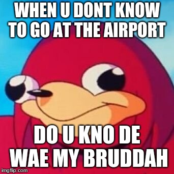 Ugandan Knuckles | WHEN U DONT KNOW TO GO AT THE AIRPORT; DO U KNO DE WAE MY BRUDDAH | image tagged in ugandan knuckles | made w/ Imgflip meme maker