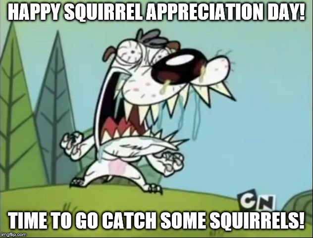 A N G E R Y D O G | HAPPY SQUIRREL APPRECIATION DAY! TIME TO GO CATCH SOME SQUIRRELS! | image tagged in a n g e r y d o g | made w/ Imgflip meme maker