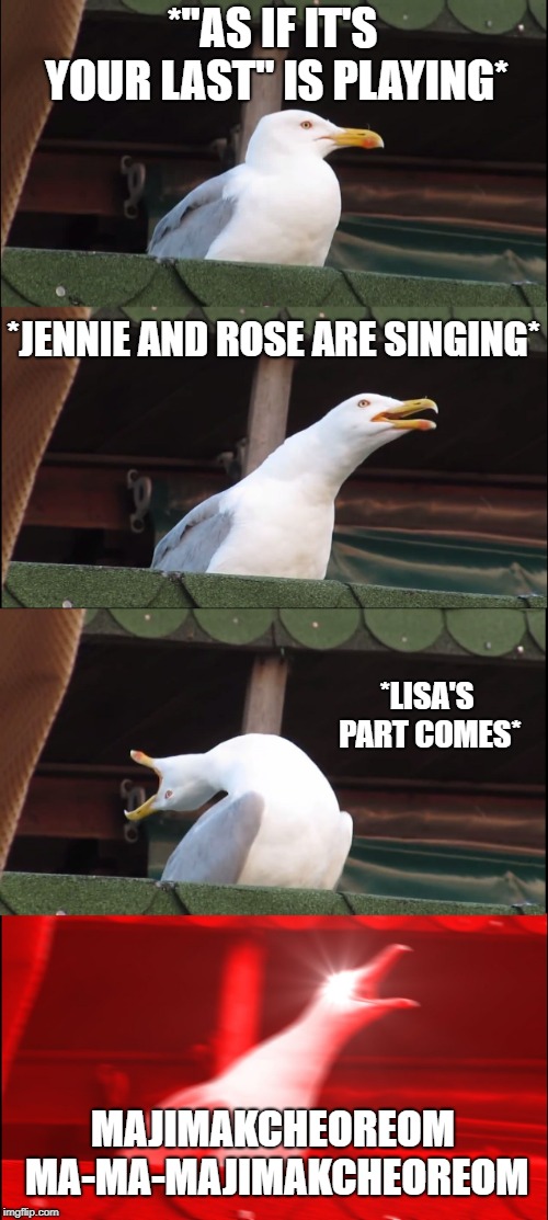 Inhaling Seagull | *"AS IF IT'S YOUR LAST" IS PLAYING*; *JENNIE AND ROSE ARE SINGING*; *LISA'S PART COMES*; MAJIMAKCHEOREOM MA-MA-MAJIMAKCHEOREOM | image tagged in memes,inhaling seagull | made w/ Imgflip meme maker