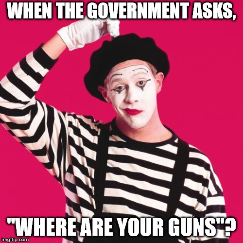 Mine fell off my boat in the Bermuda Triangle. | WHEN THE GOVERNMENT ASKS, "WHERE ARE YOUR GUNS"? | image tagged in confused mime | made w/ Imgflip meme maker