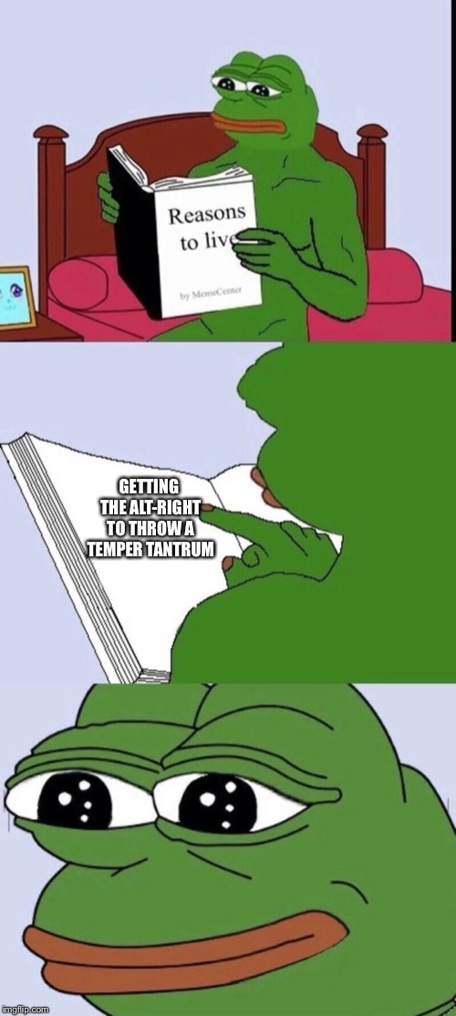 Reasons to live 2 | GETTING THE ALT-RIGHT TO THROW A TEMPER TANTRUM | image tagged in reasons to live 2 | made w/ Imgflip meme maker