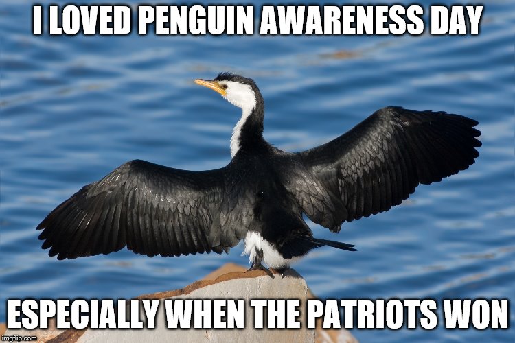 Duckguin | I LOVED PENGUIN AWARENESS DAY; ESPECIALLY WHEN THE PATRIOTS WON | image tagged in duckguin | made w/ Imgflip meme maker