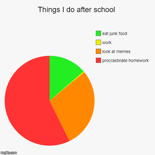 Things I do after school | procrastinate homework, look at memes, work, eat junk food | image tagged in funny,pie charts | made w/ Imgflip chart maker