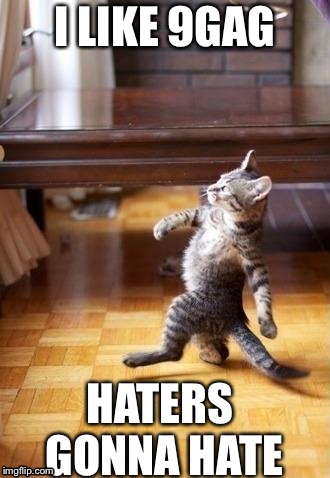 Cool Cat Stroll Meme | I LIKE 9GAG; HATERS GONNA HATE | image tagged in memes,cool cat stroll | made w/ Imgflip meme maker