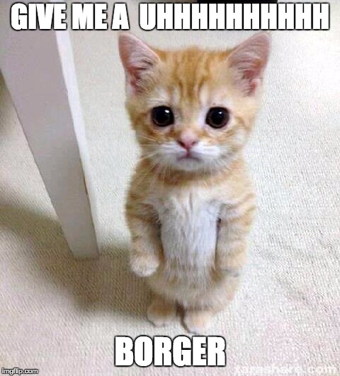 Cute Cat | GIVE ME A  UHHHHHHHHHH; BORGER | image tagged in memes,cute cat | made w/ Imgflip meme maker