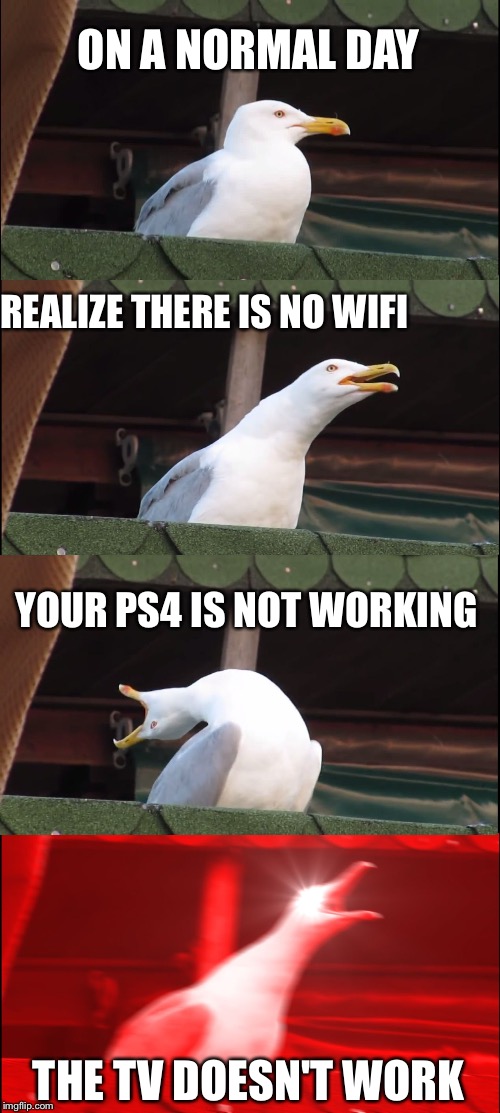 Inhaling Seagull | ON A NORMAL DAY; YOU REALIZE THERE IS NO WIFI; YOUR PS4 IS NOT WORKING; THE TV DOESN'T WORK | image tagged in memes,inhaling seagull | made w/ Imgflip meme maker