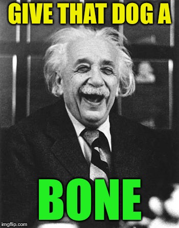 Einstein laugh | GIVE THAT DOG A BONE | image tagged in einstein laugh | made w/ Imgflip meme maker
