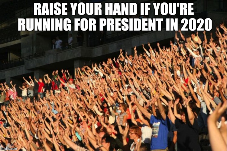 Raise your hands crowd | RAISE YOUR HAND IF YOU'RE RUNNING FOR PRESIDENT IN 2020 | image tagged in raise your hands crowd | made w/ Imgflip meme maker