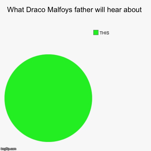 What Draco Malfoys father will hear about | THIS | image tagged in funny,pie charts | made w/ Imgflip chart maker