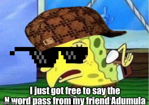 Mocking Spongebob | I just got free to say the N word pass from my friend Adumula | image tagged in memes,mocking spongebob | made w/ Imgflip meme maker
