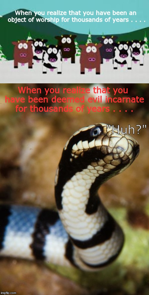 Because the animals don't really know . . . . . | When you realize that you have been an object of worship for thousands of years . . . . When you realize that you have been deemed evil incarnate for thousands of years . . . . "Huh?" | image tagged in animals | made w/ Imgflip meme maker