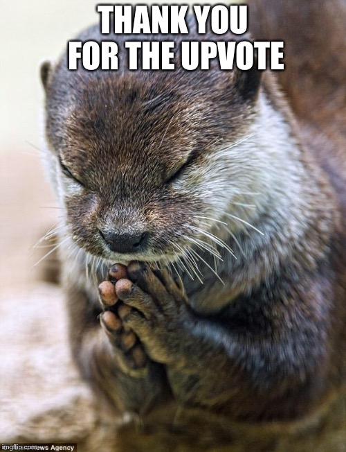Thank you Lord Otter | THANK YOU FOR THE UPVOTE | image tagged in thank you lord otter | made w/ Imgflip meme maker