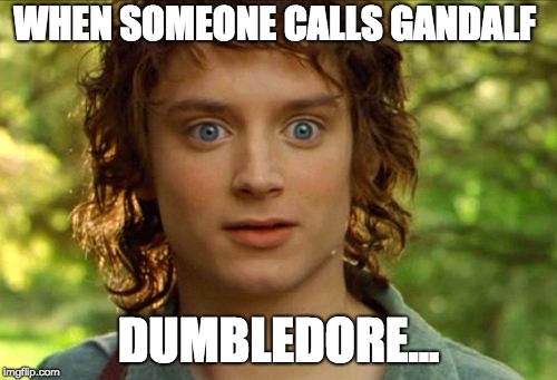 Surpised Frodo Meme | WHEN SOMEONE CALLS GANDALF; DUMBLEDORE... | image tagged in memes,surpised frodo | made w/ Imgflip meme maker