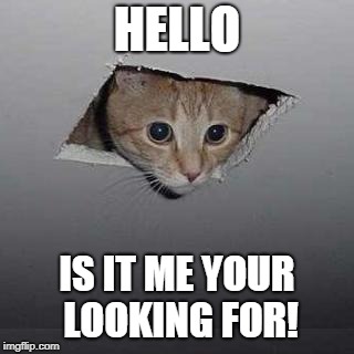 Ceiling Cat | HELLO; IS IT ME YOUR LOOKING FOR! | image tagged in memes,ceiling cat | made w/ Imgflip meme maker