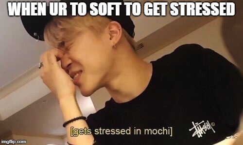 WHEN UR TO SOFT TO GET STRESSED | image tagged in stressed mochi | made w/ Imgflip meme maker