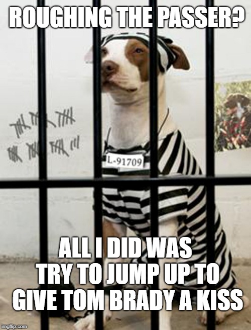 Dog In Prison | ROUGHING THE PASSER? ALL I DID WAS TRY TO JUMP UP TO GIVE TOM BRADY A KISS | image tagged in dog in prison | made w/ Imgflip meme maker