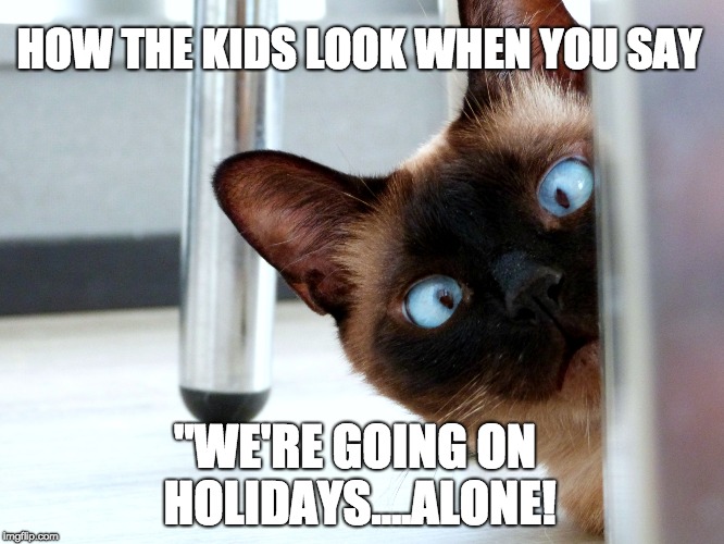 HOW THE KIDS LOOK WHEN YOU SAY; "WE'RE GOING ON HOLIDAYS....ALONE! | image tagged in cat,travel,holidays,vacation | made w/ Imgflip meme maker