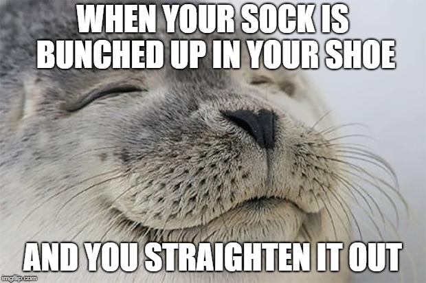 Satisfied Seal | WHEN YOUR SOCK IS BUNCHED UP IN YOUR SHOE; AND YOU STRAIGHTEN IT OUT | image tagged in memes,satisfied seal,AdviceAnimals | made w/ Imgflip meme maker