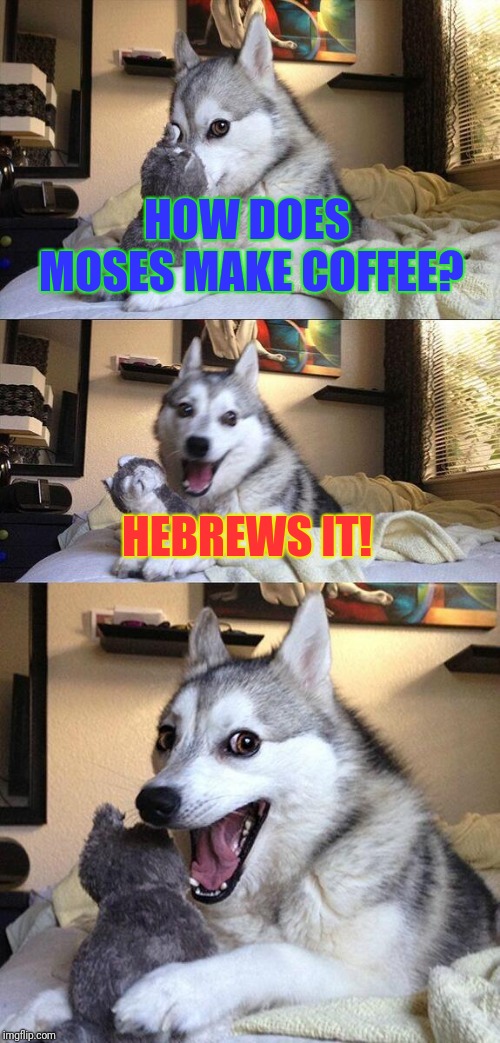 I Make Bad Puns. | HOW DOES MOSES MAKE COFFEE? HEBREWS IT! | image tagged in memes,bad pun dog,moses,funny,coffee | made w/ Imgflip meme maker