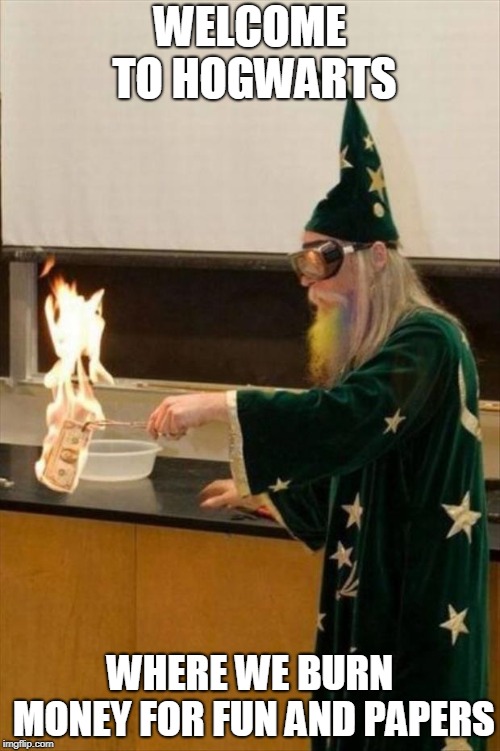 Science teacher | WELCOME TO HOGWARTS; WHERE WE BURN MONEY FOR FUN AND PAPERS | image tagged in science teacher | made w/ Imgflip meme maker