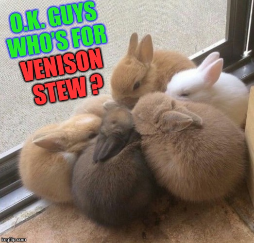 O.K. GUYS WHO’S FOR VENISON STEW ? | made w/ Imgflip meme maker