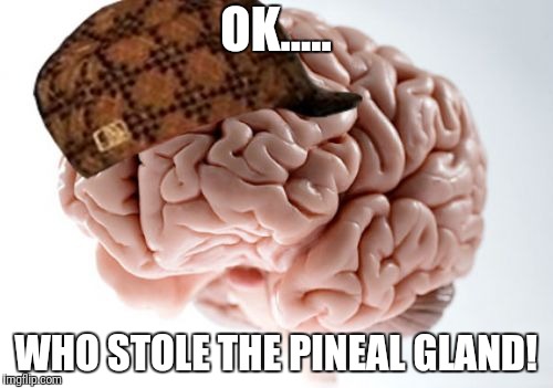 Scumbag Brain | OK..... WHO STOLE THE PINEAL GLAND! | image tagged in memes,scumbag brain | made w/ Imgflip meme maker