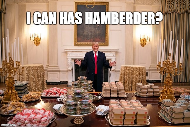 I CAN HAS HAMBERDER? | image tagged in trump,hamberders | made w/ Imgflip meme maker