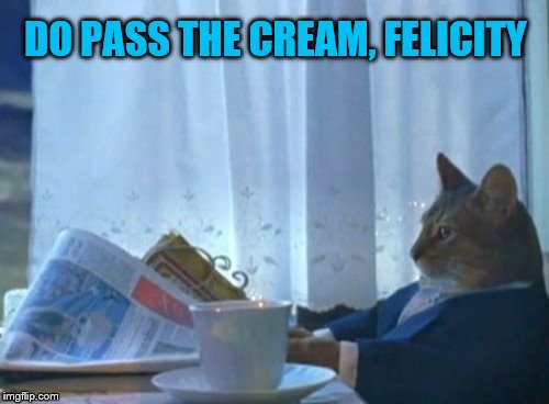 Rich Cat Problems | DO PASS THE CREAM, FELICITY | image tagged in memes,cat,rich cat,cats | made w/ Imgflip meme maker