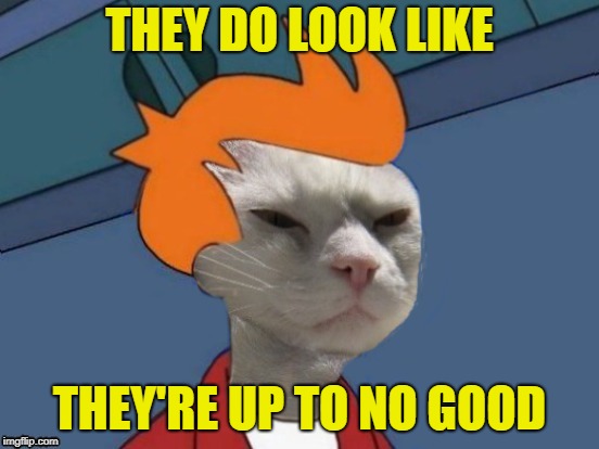 THEY DO LOOK LIKE THEY'RE UP TO NO GOOD | made w/ Imgflip meme maker
