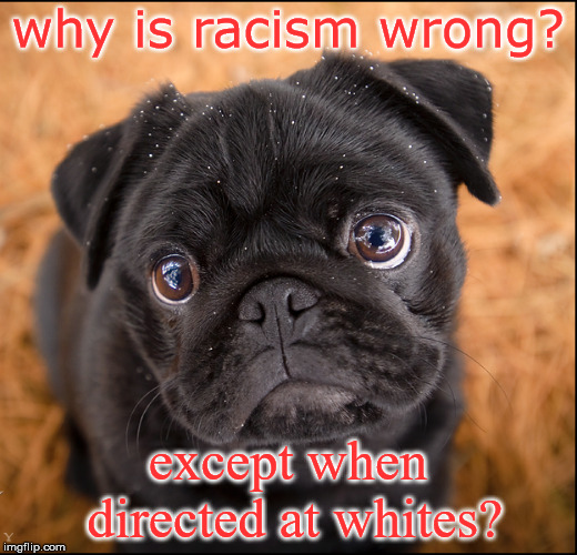  Save the Caucasians, | why is racism wrong? except when directed at whites? | image tagged in racism,racist blacks,racist browns,racist liberals,racist democrats,sick demented liberals | made w/ Imgflip meme maker