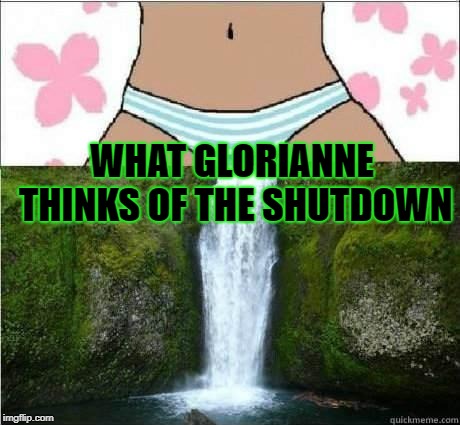 wet panties | WHAT GLORIANNE THINKS OF THE SHUTDOWN | image tagged in wet panties | made w/ Imgflip meme maker
