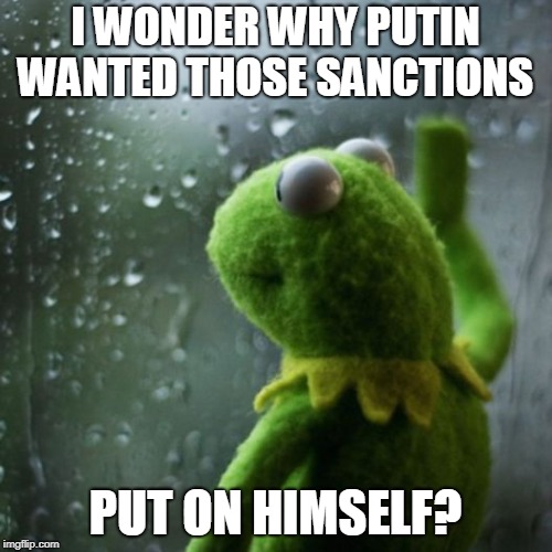 sometimes I wonder  | I WONDER WHY PUTIN WANTED THOSE SANCTIONS PUT ON HIMSELF? | image tagged in sometimes i wonder | made w/ Imgflip meme maker