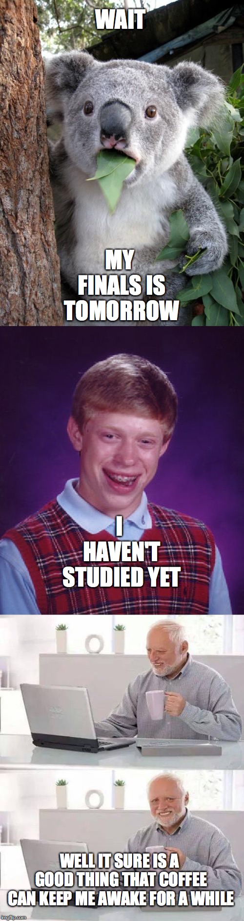 who with me bruddas | WAIT; MY FINALS IS TOMORROW; I HAVEN'T STUDIED YET; WELL IT SURE IS A GOOD THING THAT COFFEE CAN KEEP ME AWAKE FOR A WHILE | image tagged in memes,surprised koala,bad luck brian,hide the pain harold | made w/ Imgflip meme maker