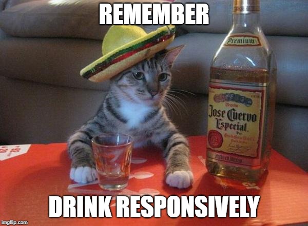 alcohol cat | REMEMBER; DRINK RESPONSIVELY | image tagged in alcohol cat | made w/ Imgflip meme maker