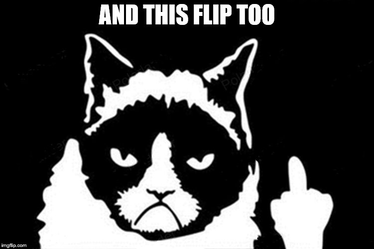 Grumpy Cat Flipping The Bird | AND THIS FLIP TOO | image tagged in grumpy cat flipping the bird | made w/ Imgflip meme maker
