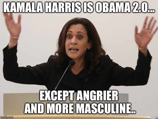 Obama 2.0 | KAMALA HARRIS IS OBAMA 2.0... EXCEPT ANGRIER AND MORE MASCULINE.. | image tagged in democrats | made w/ Imgflip meme maker