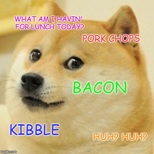 Doge | WHAT AM I HAVIN' FOR LUNCH TODAY? PORK CHOPS; BACON; KIBBLE; HUH? HUH? | image tagged in memes,doge | made w/ Imgflip meme maker