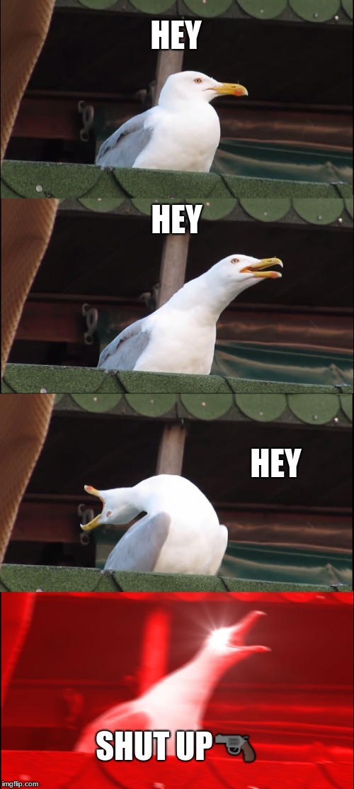 Inhaling Seagull | HEY; HEY; HEY; SHUT UP🔫 | image tagged in memes,inhaling seagull | made w/ Imgflip meme maker