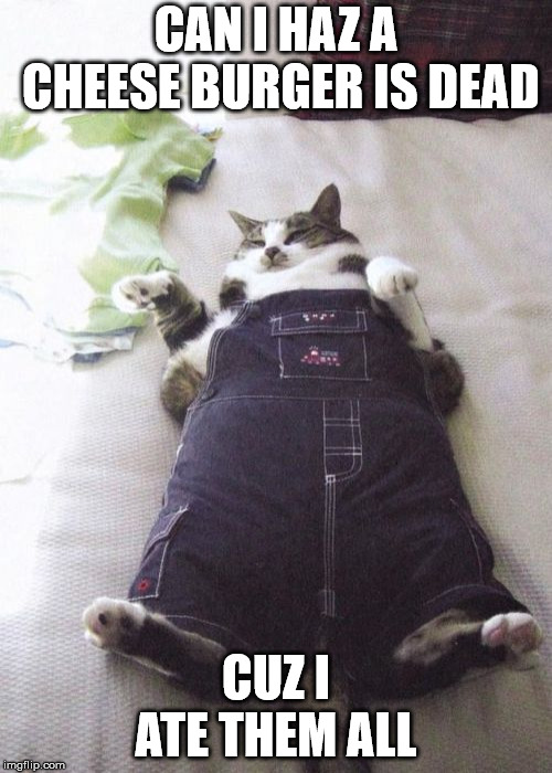 Fat Cat | CAN I HAZ A CHEESE BURGER IS DEAD; CUZ I ATE THEM ALL | image tagged in memes,fat cat | made w/ Imgflip meme maker