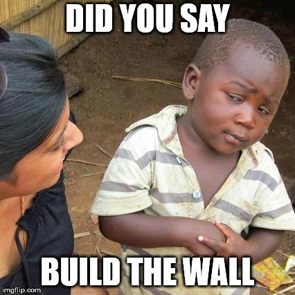 Third World Skeptical Kid | DID YOU SAY; BUILD THE WALL | image tagged in memes,third world skeptical kid | made w/ Imgflip meme maker