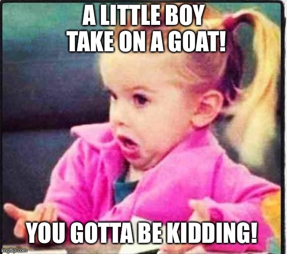 Confused Girl | A LITTLE BOY TAKE ON A GOAT! YOU GOTTA BE KIDDING! | image tagged in confused girl | made w/ Imgflip meme maker