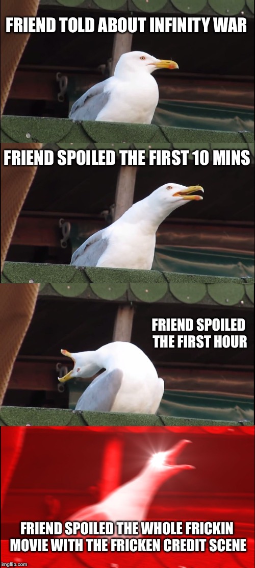 Inhaling Seagull Meme | FRIEND TOLD ABOUT INFINITY WAR; FRIEND SPOILED THE FIRST 10 MINS; FRIEND SPOILED THE FIRST HOUR; FRIEND SPOILED THE WHOLE FRICKIN MOVIE WITH THE FRICKEN CREDIT SCENE | image tagged in memes,inhaling seagull | made w/ Imgflip meme maker