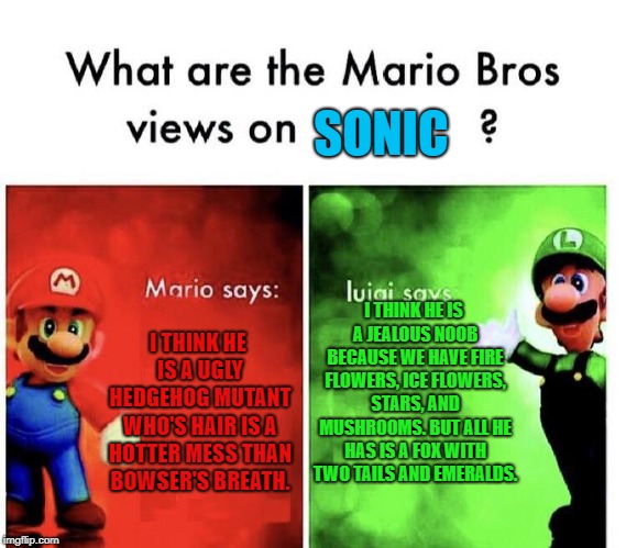 Mario Bros Views | SONIC; I THINK HE IS A JEALOUS NOOB BECAUSE WE HAVE FIRE FLOWERS, ICE FLOWERS, STARS, AND MUSHROOMS. BUT ALL HE HAS IS A FOX WITH TWO TAILS AND EMERALDS. I THINK HE IS A UGLY HEDGEHOG MUTANT WHO'S HAIR IS A HOTTER MESS THAN BOWSER'S BREATH. | image tagged in mario bros views | made w/ Imgflip meme maker