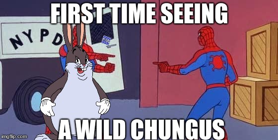 Chunga Chunga Chunga | FIRST TIME SEEING; A WILD CHUNGUS | image tagged in spider man double,big chungus | made w/ Imgflip meme maker