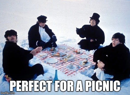 Canadian picnic | PERFECT FOR A PICNIC | image tagged in canadian picnic | made w/ Imgflip meme maker