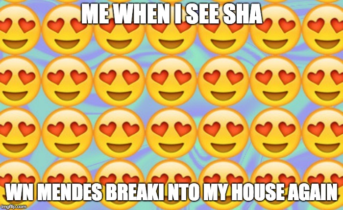 heart emojis | ME WHEN I SEE SHA; WN MENDES BREAKI NTO MY HOUSE AGAIN | image tagged in heart emojis | made w/ Imgflip meme maker