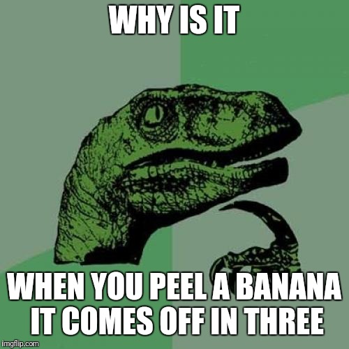 Philosoraptor | WHY IS IT; WHEN YOU PEEL A BANANA IT COMES OFF IN THREE | image tagged in memes,philosoraptor | made w/ Imgflip meme maker