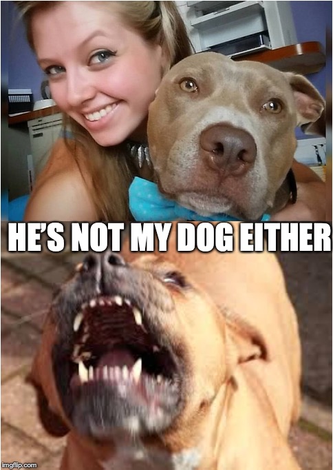 HE’S NOT MY DOG EITHER | made w/ Imgflip meme maker