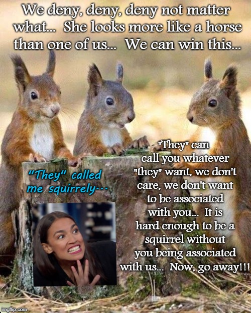 Deny, deny, deny... | We deny, deny, deny not matter what...  She looks more like a horse than one of us...  We can win this... "They" can call you whatever "they" want, we don't care, we don't want to be associated with you...  It is hard enough to be a squirrel without you being associated with us...  Now, go away!!! "They" called me squirrely... | image tagged in alexandria ocasio-cortez,squirrels,horse | made w/ Imgflip meme maker