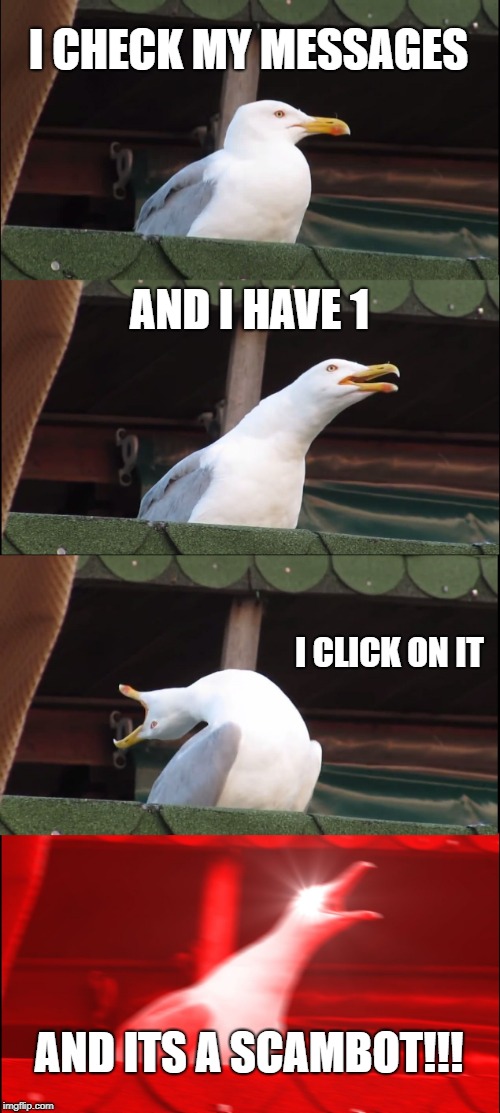 Inhaling Seagull Meme | I CHECK MY MESSAGES; AND I HAVE 1; I CLICK ON IT; AND ITS A SCAMBOT!!! | image tagged in memes,inhaling seagull | made w/ Imgflip meme maker